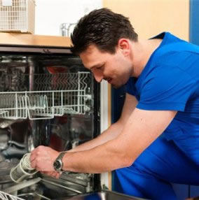 Ремонт посудомоечных машин на дому