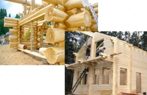 что лучше брус или бревно