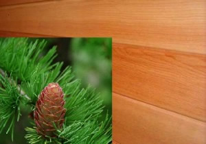 имитация бруса из кедра