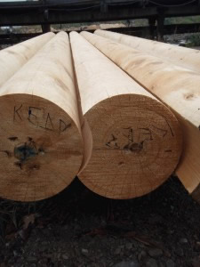 оцилиндрованное бревно для строительства дома