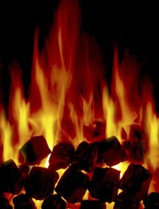 Жесткое топливо (уголь, дрова) для отопления домац